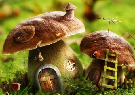 К чему снятся грибы — толкование по сонникам Грибы по соннику целительницы Федоровской